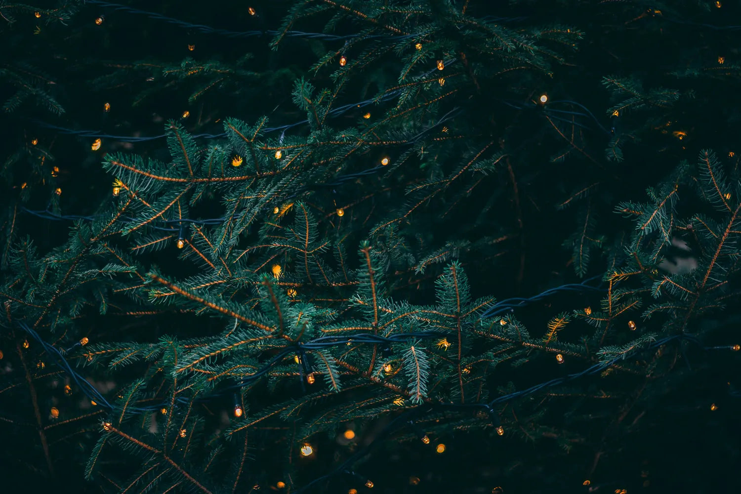 Knstliche Weihnachtssterne gnstig online kaufen
