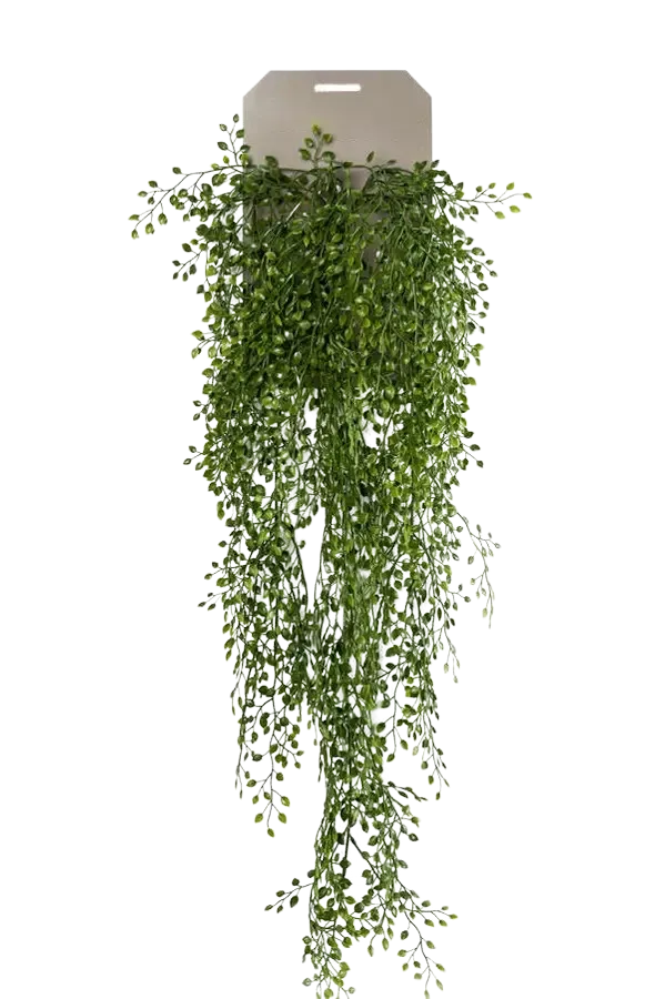 kunstpflanzen jüchen Künstlicher Hänge-Jasmin - Levin | 80 cm