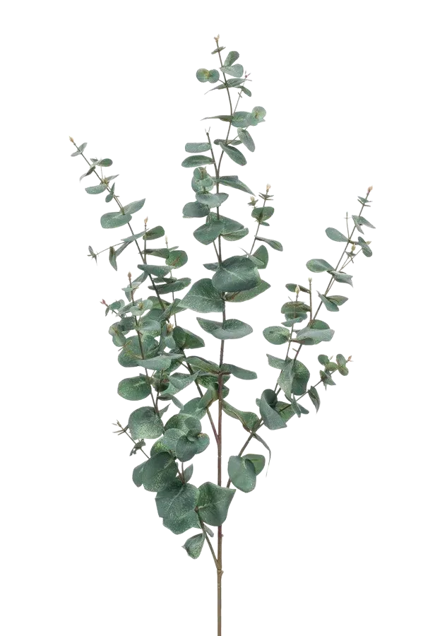 Künstlicher Eukalyptus Zweig - Coa | 72 cm