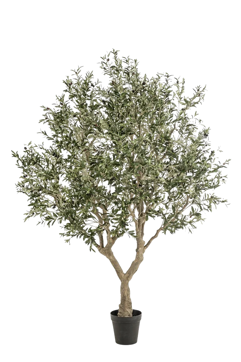 Künstlicher Olivenbaum - Mars