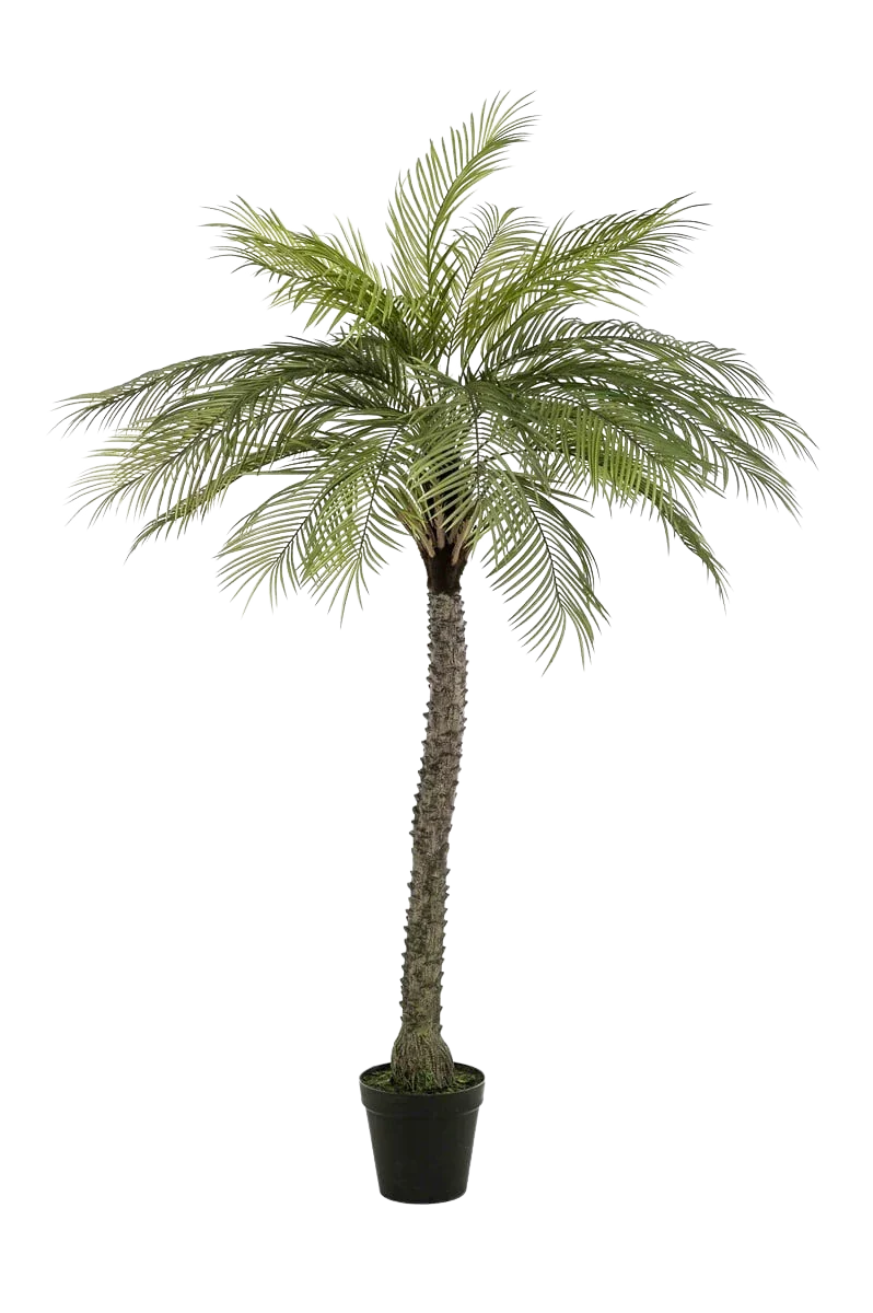 Künstliche Phoenix Palme - Marun