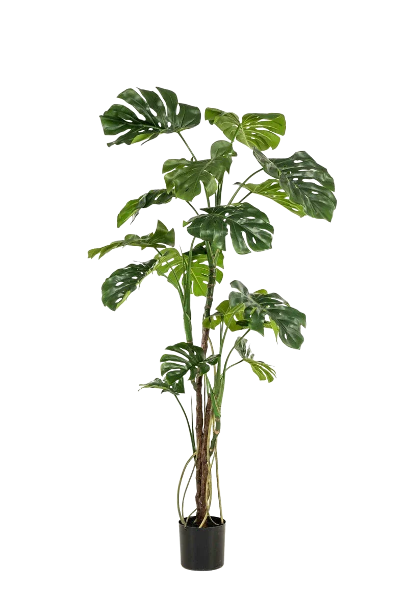 Künstliche Monstera - Mogli