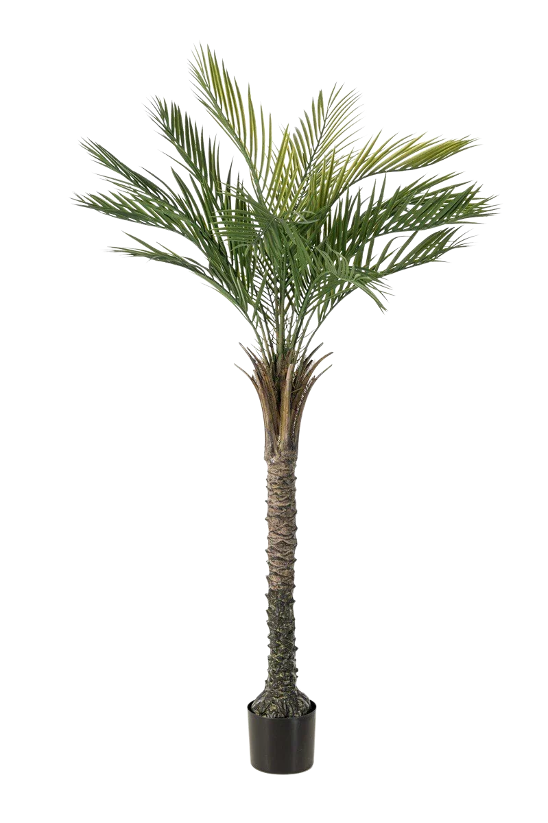 große vasen deko Vase aus Baumwollkordel: Bruchsichere Bodendeko Variante:Black-Edition