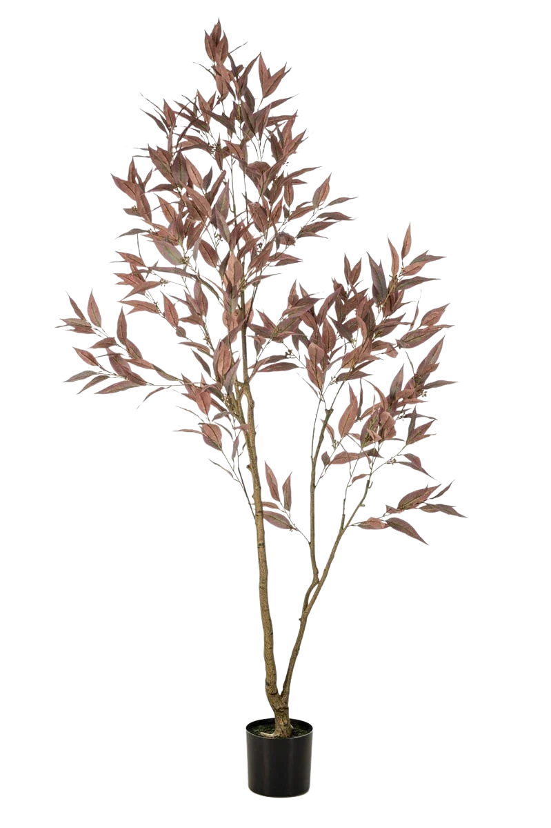 Künstlicher Eucalyptus - Fey