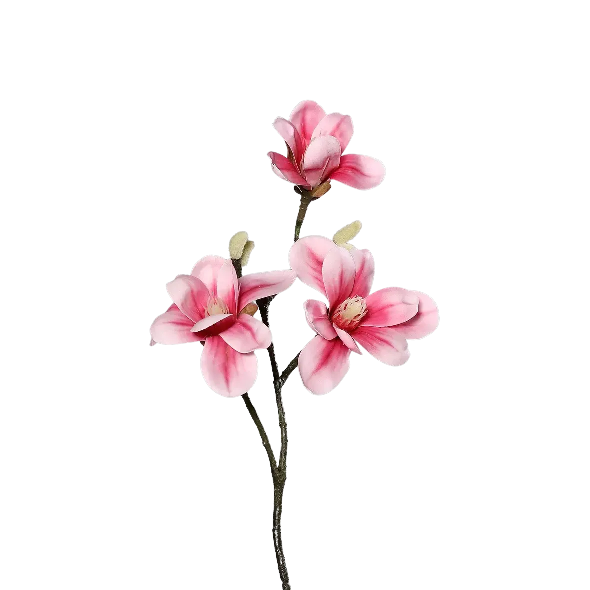 Knstliche Magnolien - Herta | 40 cm | kaufen aplanta