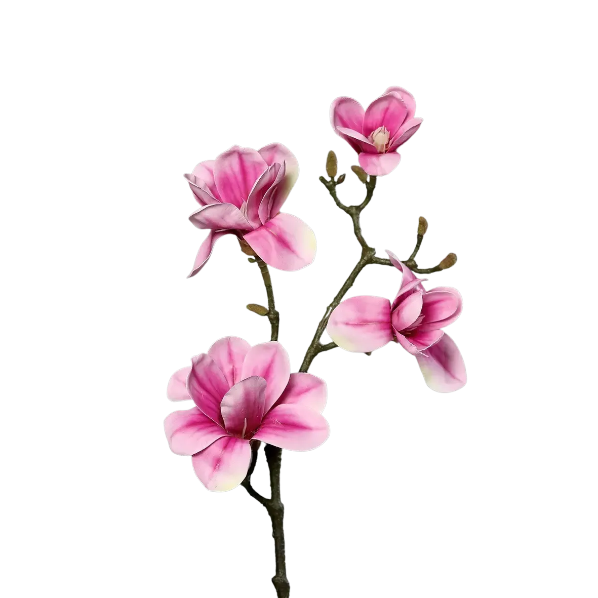 künstliche magnolie kaufen Künstliche Magnolien Zweig - Matilda | 80 cm