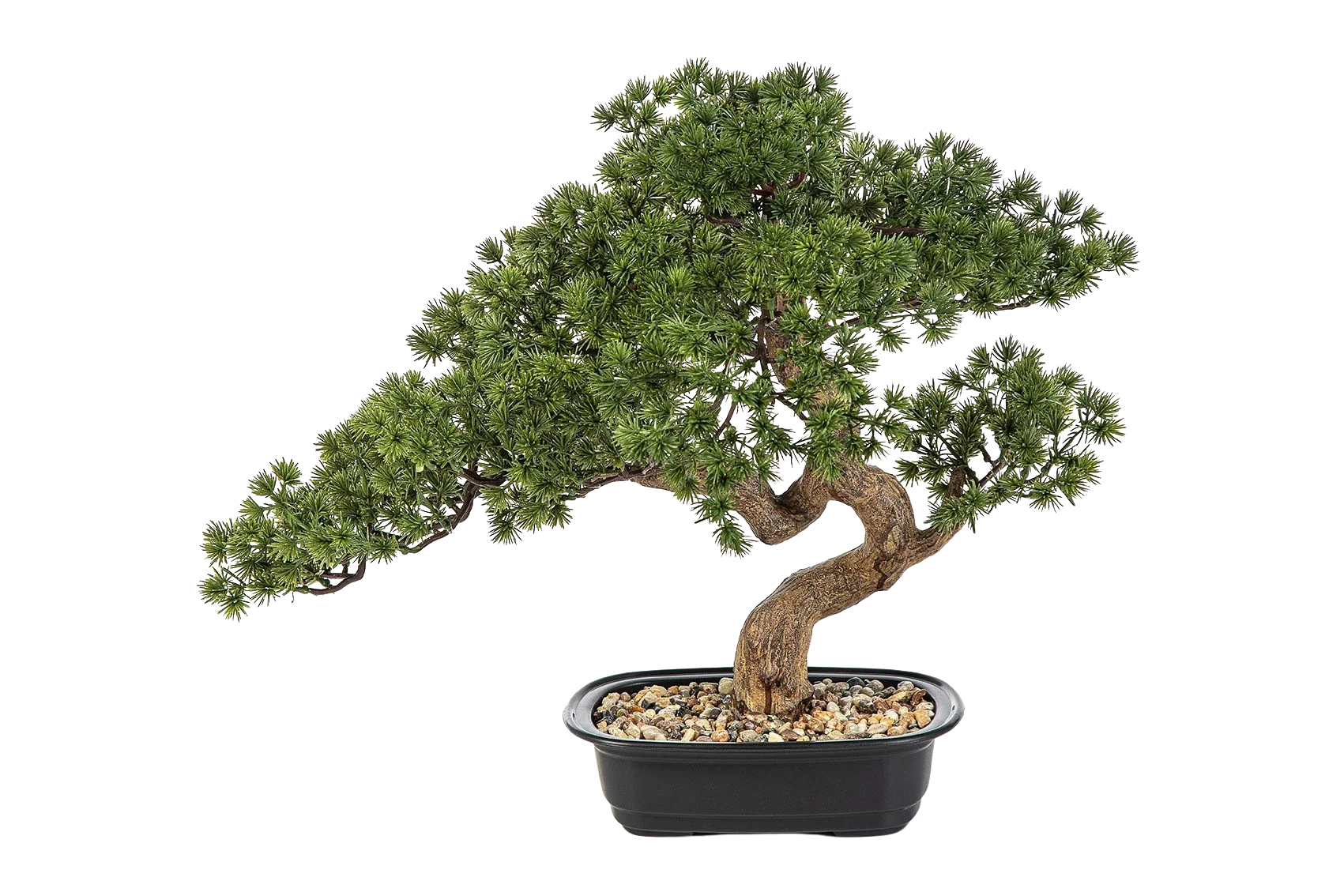 Künstlicher Bonsai - Sofia