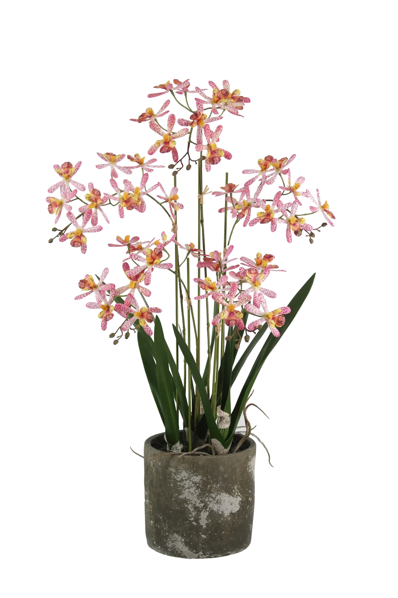 kunstpflanzen orchideen groß Künstliche Orchidee - Han