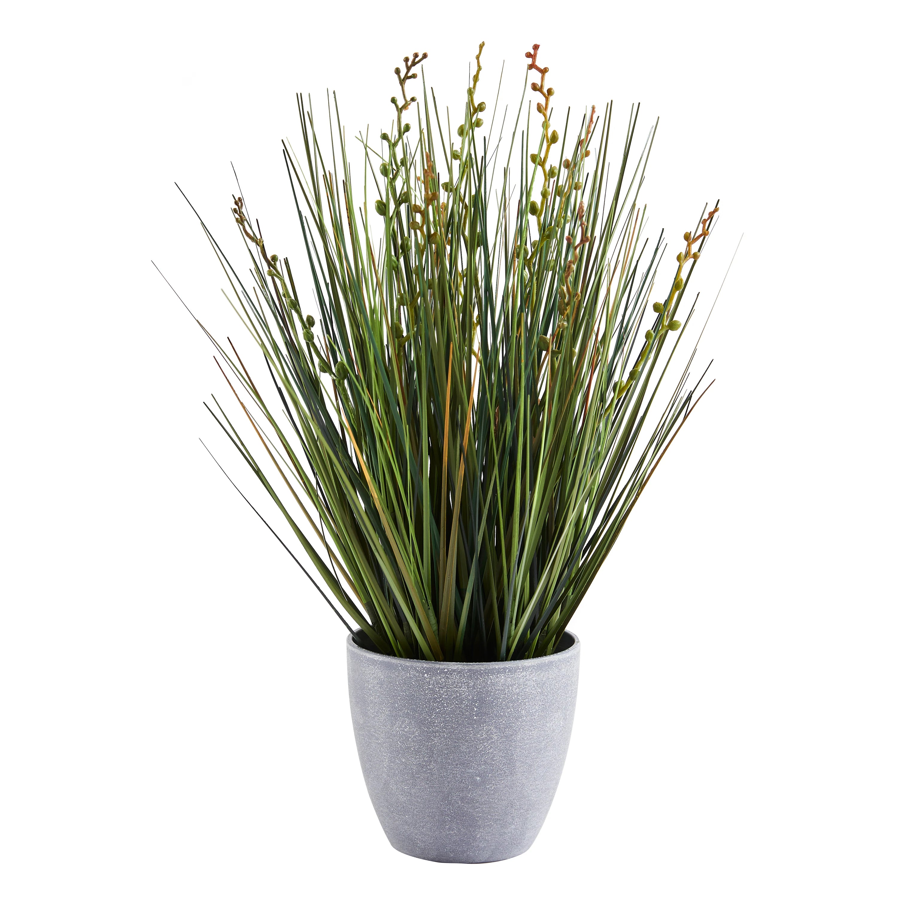 Künstliches Gras – Isambard