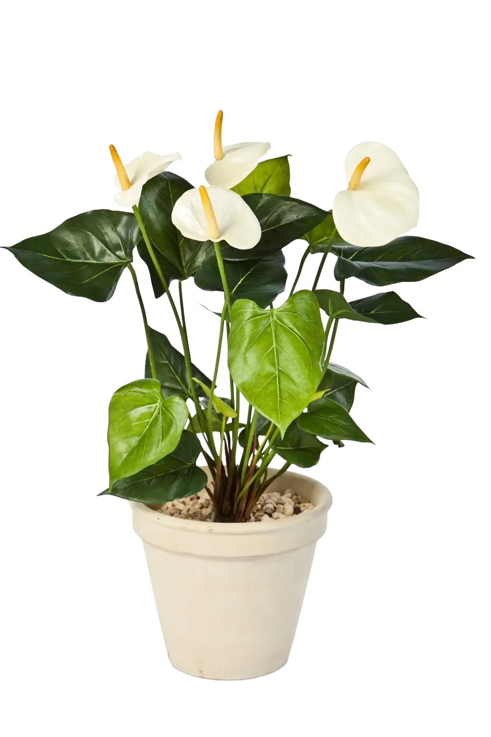 Künstliche Flamingoblume - Nora | 56 cm