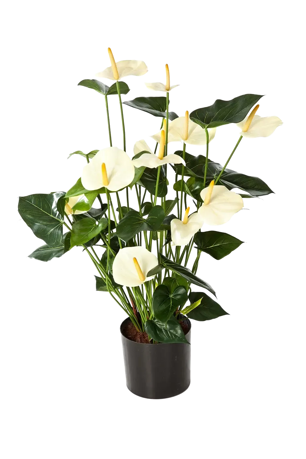 Künstliche Flamingoblume - Zenta | 78 cm