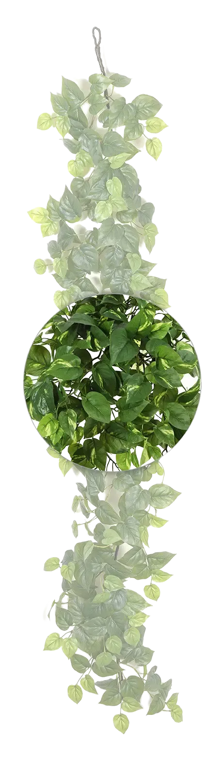 Künstliche Pothos Girlande - Beyza | 180 cm
