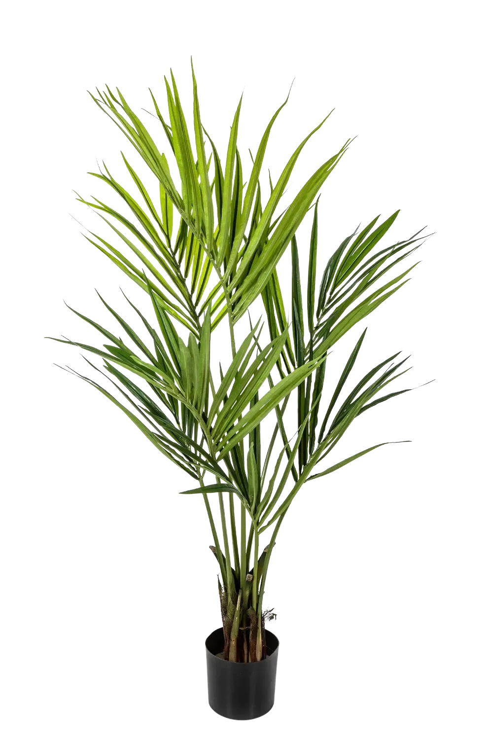 Künstliche Kentia Palme - Cataleya | 140 cm