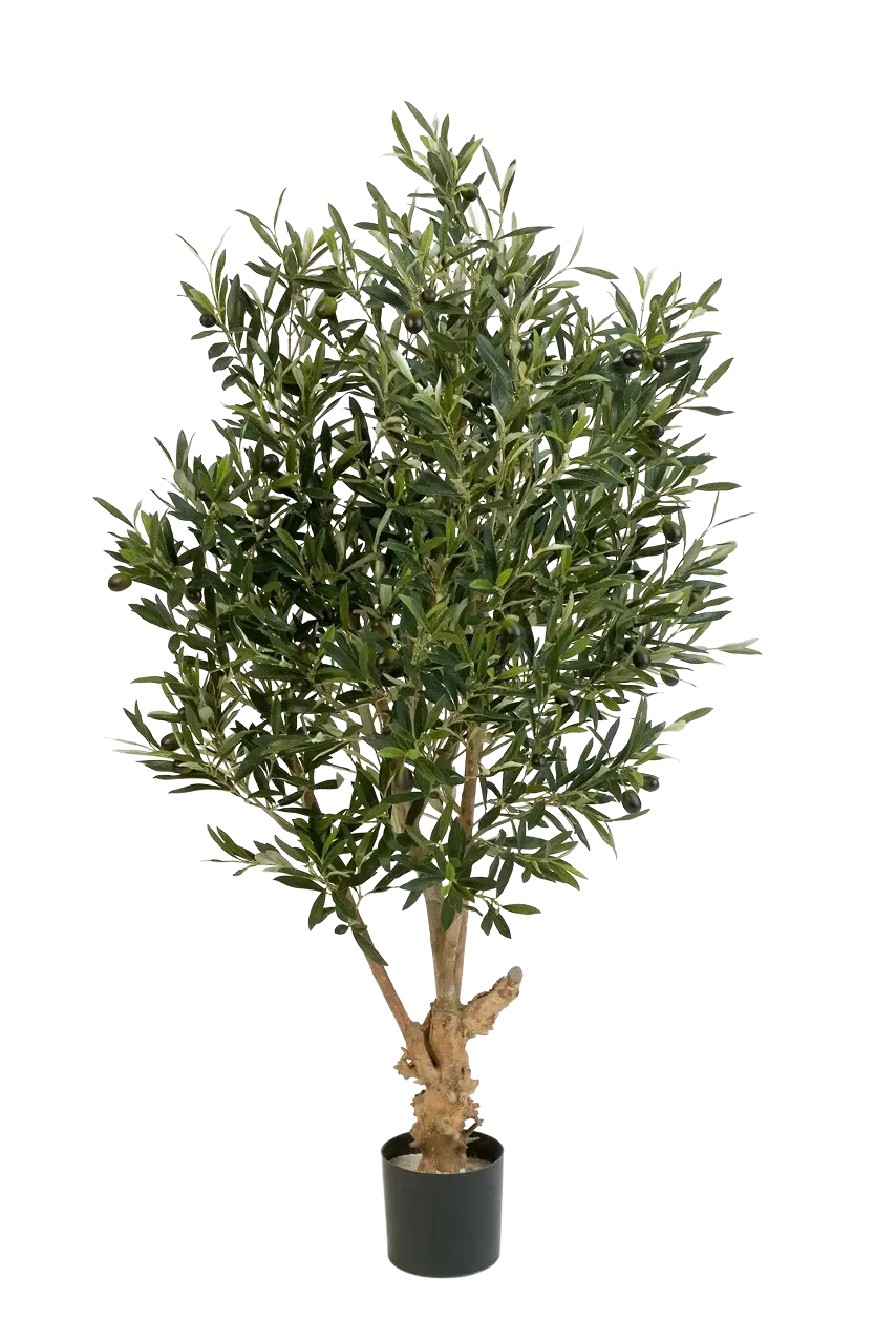 Topf Blumen Knstlicher Olivenbaum XL 300 Cm Auf Platte | Maxifleur  Kunstpflanzen Blumentpfe Gebraucht