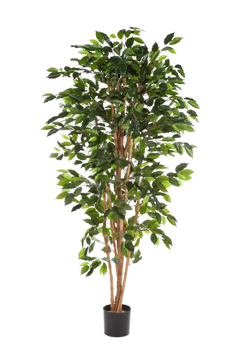 olivenbaum künstlich depot Künstlicher Ficusbaum – Sylvior