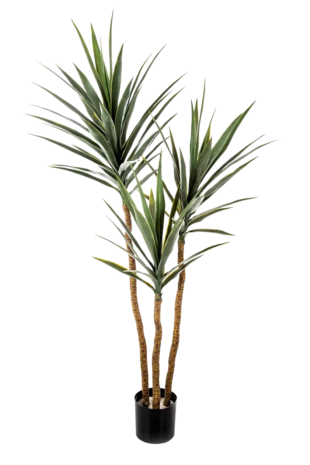 Künstliche Yucca – Talandra