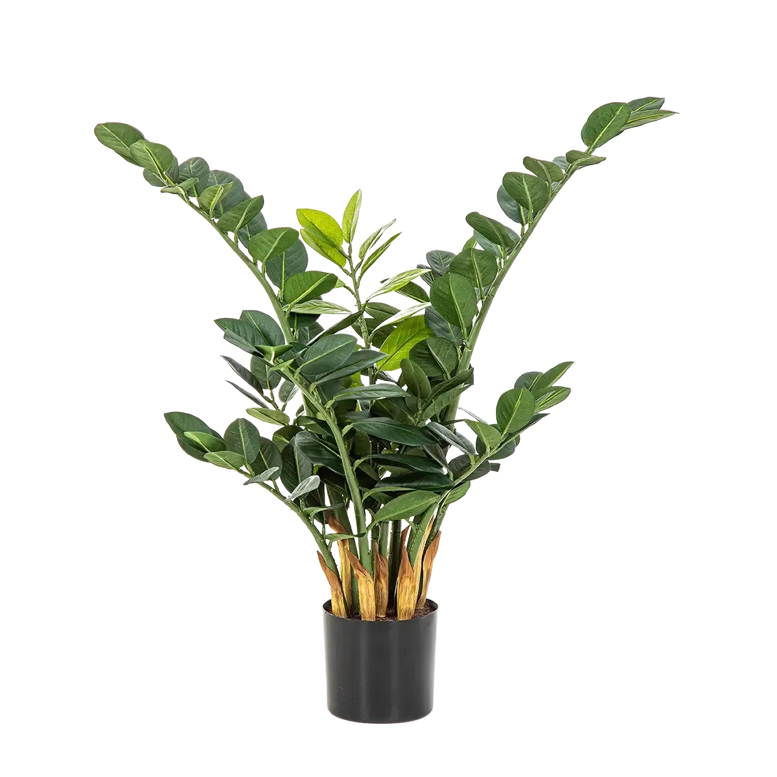 Künstliche Zamioculcas - Svea | 66 cm