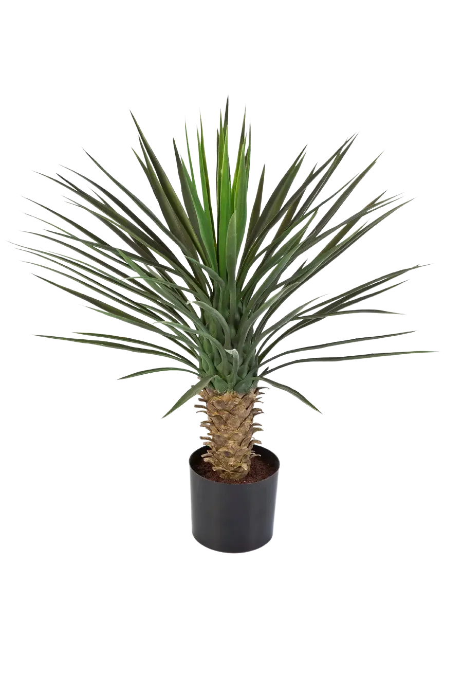Künstliche Yucca Rostrata Palme - Sven | 82 cm