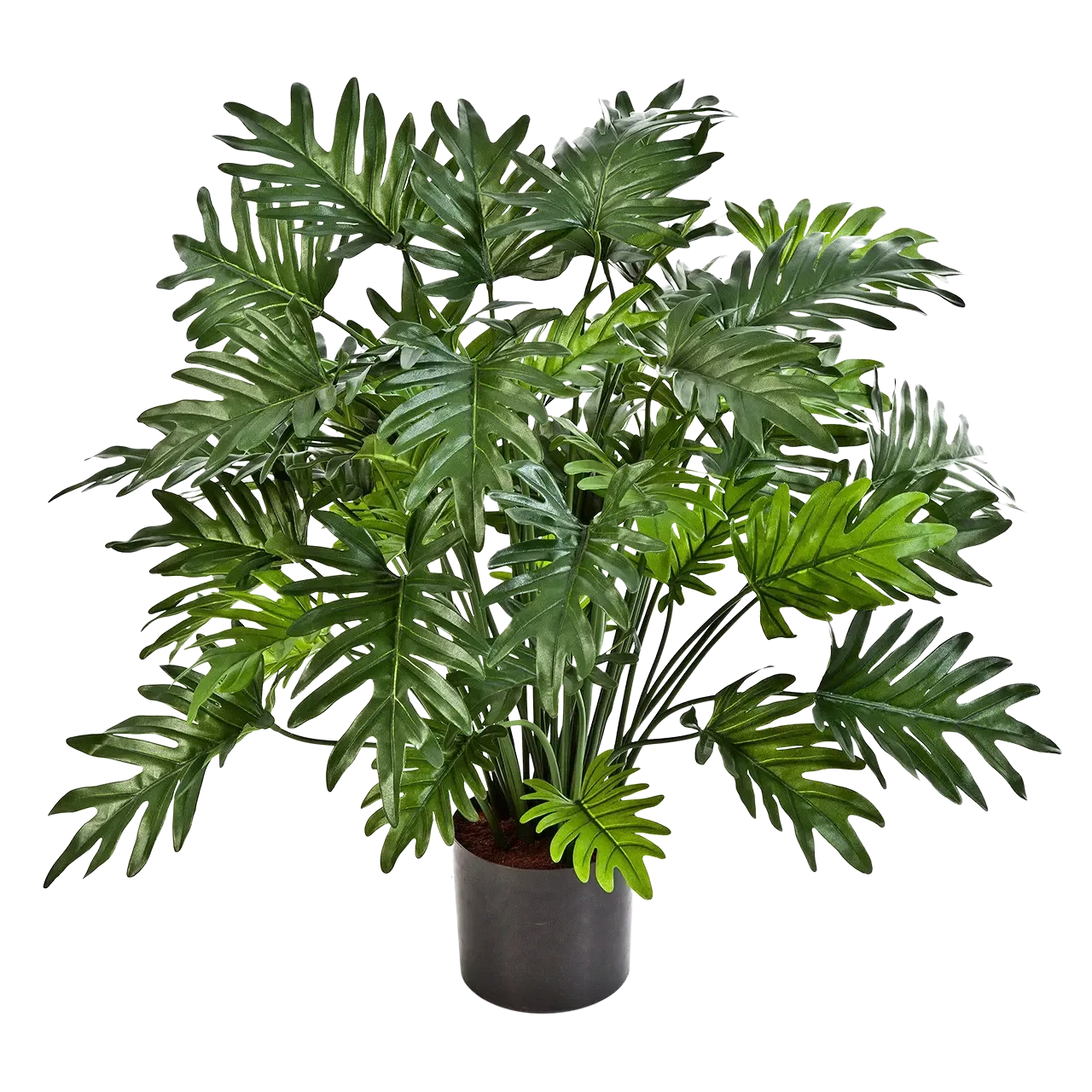 Künstliche Philodendron - Therese | 75 cm