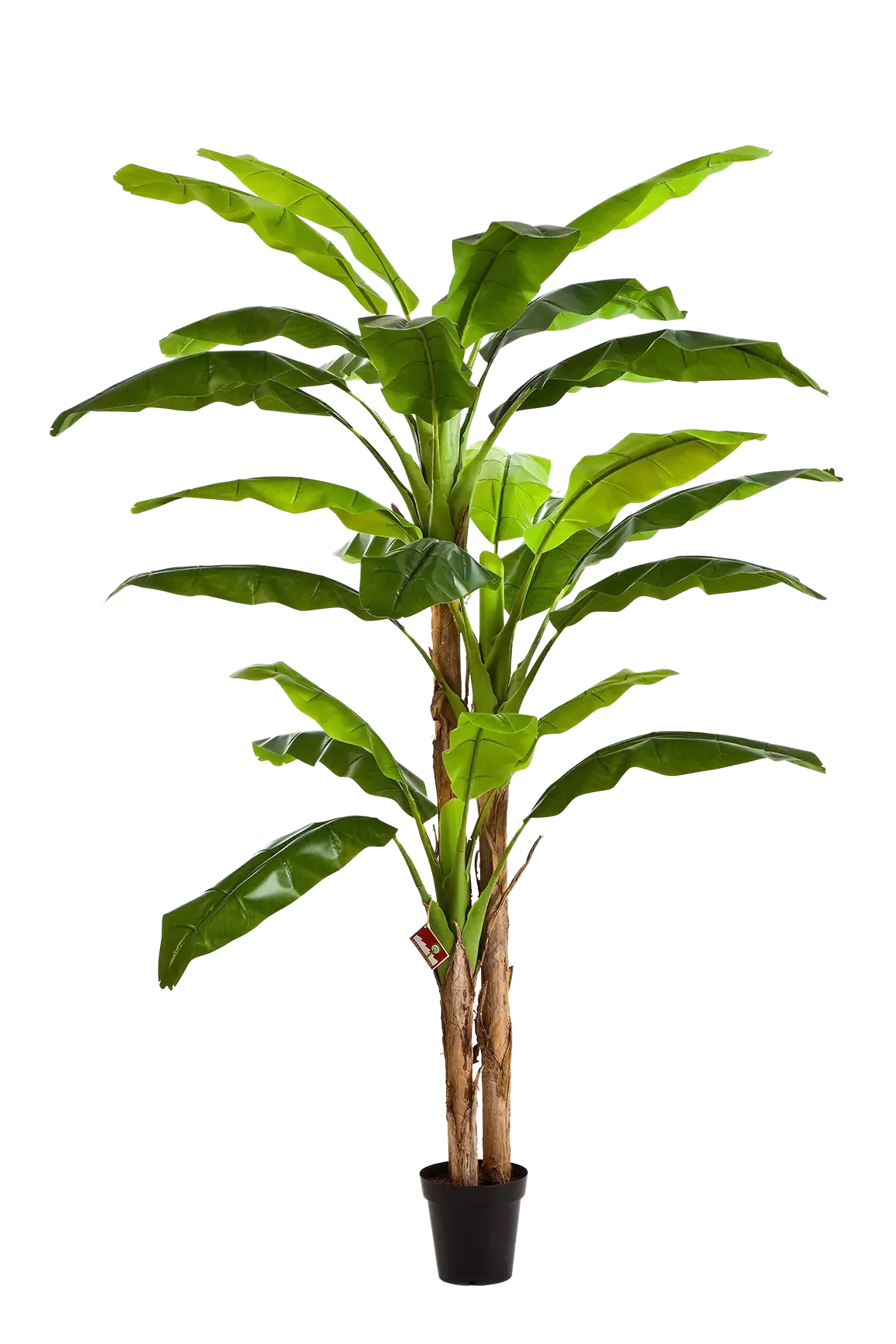 Künstlicher Bananenbaum - Pauline | 240 cm