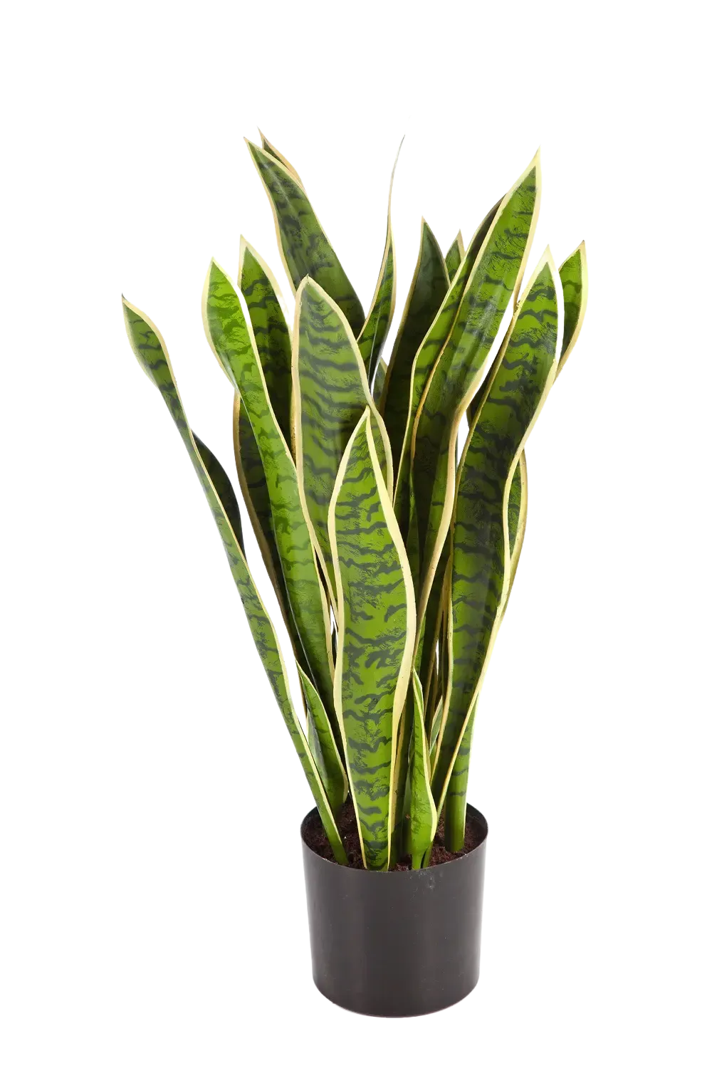 Künstlicher Bogenhanf - Liam | 80 cm