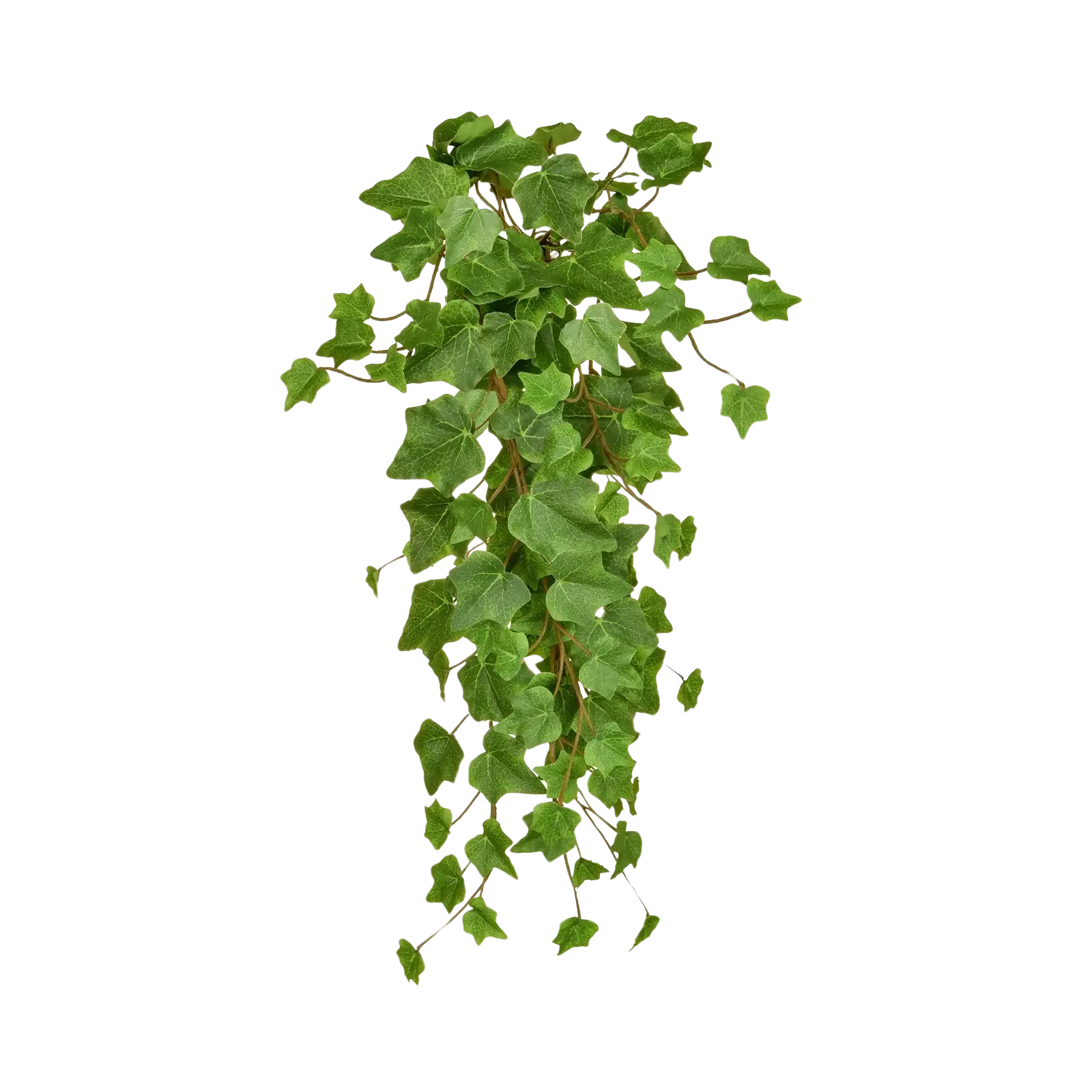 hängendes efeu Künstlicher Hänge-Efeu - Michael | 55 cm