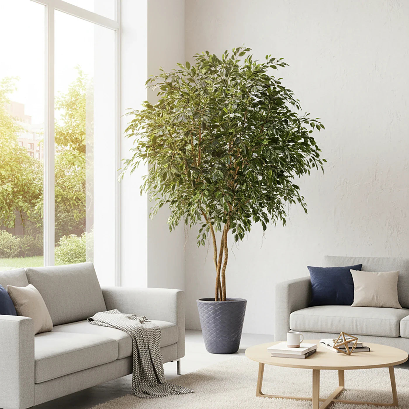 Künstlicher Ficus - Timmi