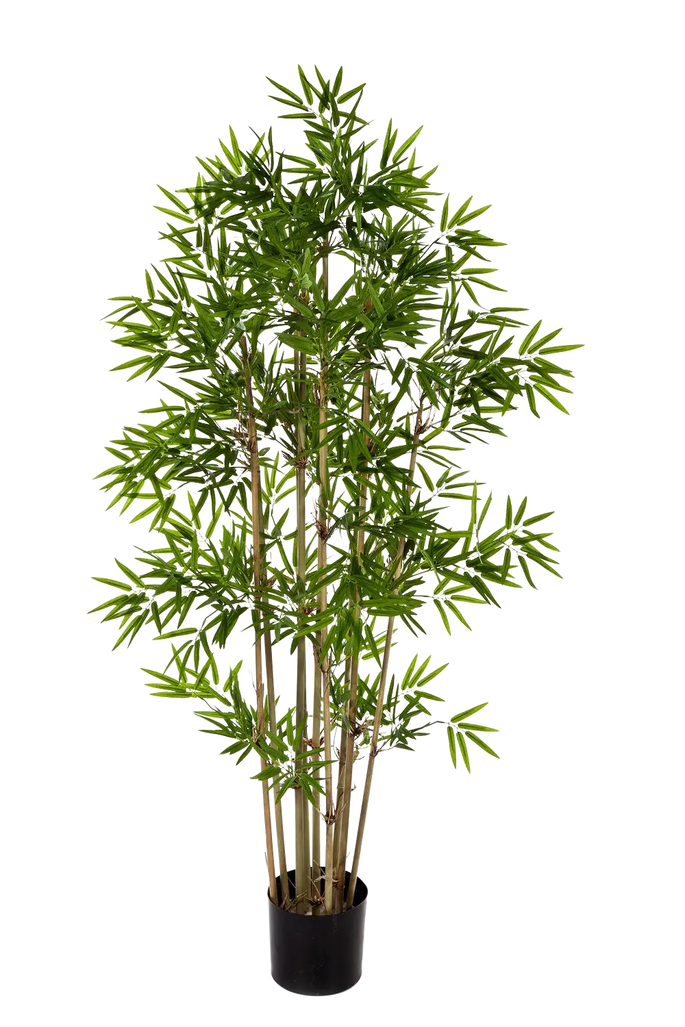 Knstlicher Bambus - Lotta | 200 cm | kaufen aplanta