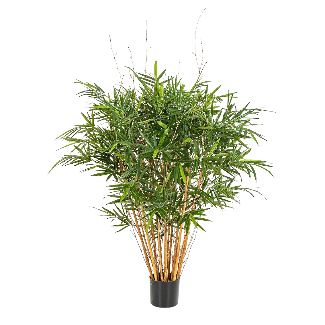 bambus künstlich outdoor Künstlicher Bambus deluxe - Marleen