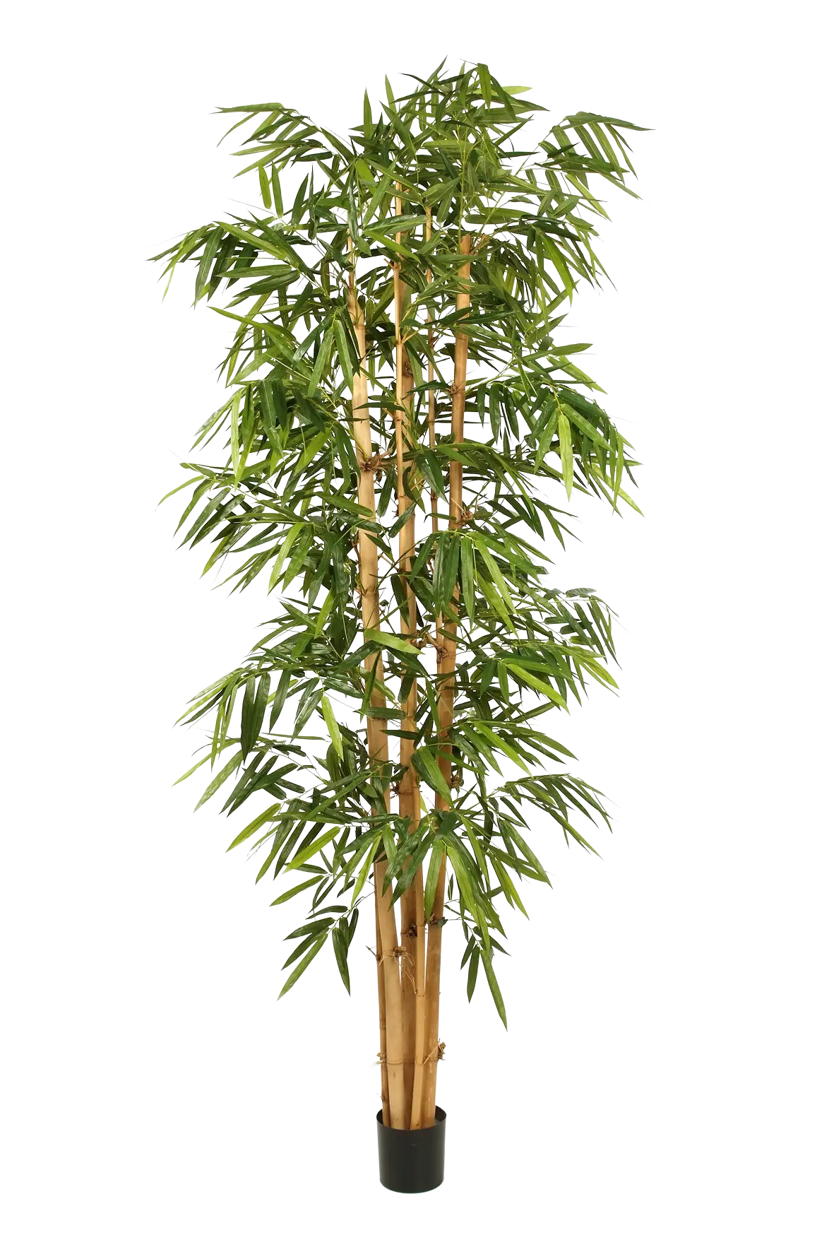 bambusbaum künstlich Künstlicher Bambus - Marlon | 300 cm