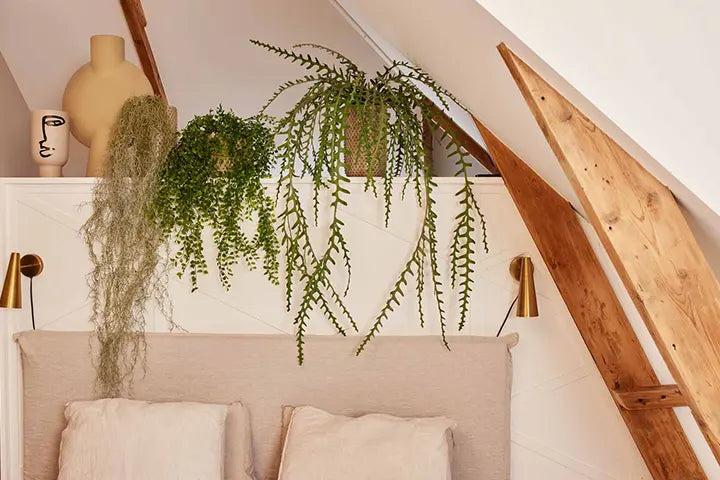 Künstliche grüne Hängepflanzen auf Regal über dem Bett im Schlafzimmer