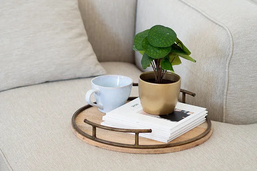 10 atemberaubende Alternativen zu Ikea FEJKA: Entdecke aplanta's Kunst