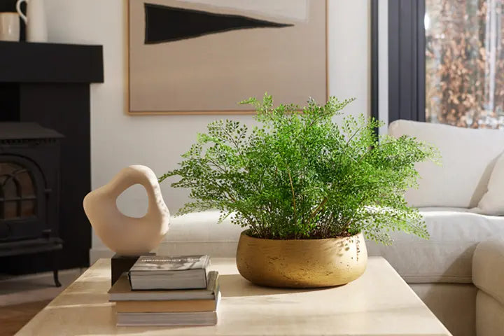 Kunstpflanze toll in eine Dekoration integriert auf einem Tisch. Mit steinernem Deko Objekt und Coffee Table Büchern