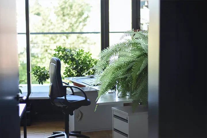 Kunstpflanze im Büro
