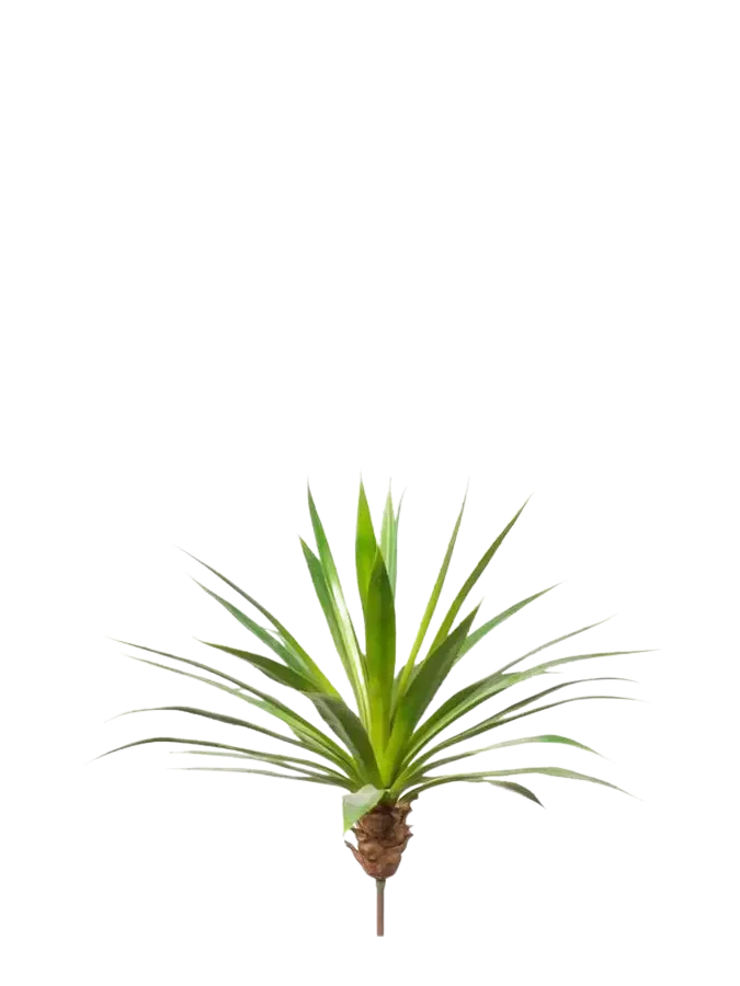Künstliche Agave - Ole, 60 cm, Kunstpflanze von aplanta, Steckpflanze, in Natur, für drinnen
