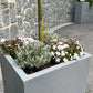 Pflanzkübel - Leyla | 40x40x40 cm, Beton-Design