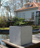 Pflanzkübel - Leyla | 50x50x50 cm, Beton-Design