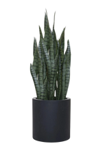 Blumentopf - Trevi, 29x29cm, Pflanzkübel von aplanta, in Anthrazit