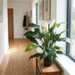 Künstliche Spathiphyllum - Big-Luna | 73 cm