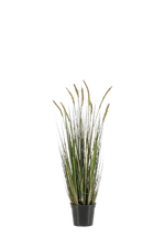 Hochwertiges Kunstgras auf transparentem Hintergrund mit echt wirkenden Kunstblättern in natürlicher Anordnung. Künstlicher Fuchsschwanz - Henry hat die Farbe Grün und ist 90 cm hoch. | aplanta Kunstpflanzen