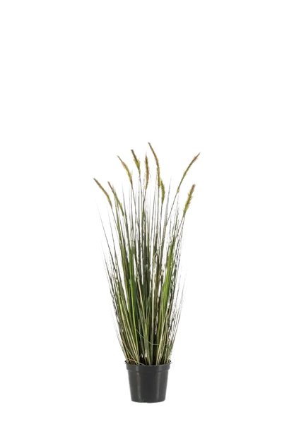 Hochwertiges Kunstgras auf transparentem Hintergrund mit echt wirkenden Kunstblättern in natürlicher Anordnung. Künstlicher Fuchsschwanz - Henry hat die Farbe Grün und ist 90 cm hoch. | aplanta Kunstpflanzen