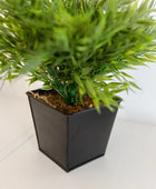 Hochwertiger Olivenbaum künstlich auf transparentem Hintergrund mit echt wirkenden Kunstblättern in natürlicher Anordnung. Künstlicher Bambus Topf - Naoto hat die Farbe Natur | aplanta Kunstpflanzen