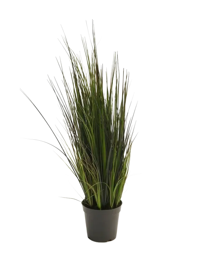 Knstliches Gras - Hanno | 60 cm | kaufen aplanta