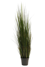 Hochwertiges Kunstgras auf transparentem Hintergrund mit echt wirkenden Kunstblättern in natürlicher Anordnung. Künstliches Gras - Hanno hat die Farbe Grün und ist 120 cm hoch. | aplanta Kunstpflanzen