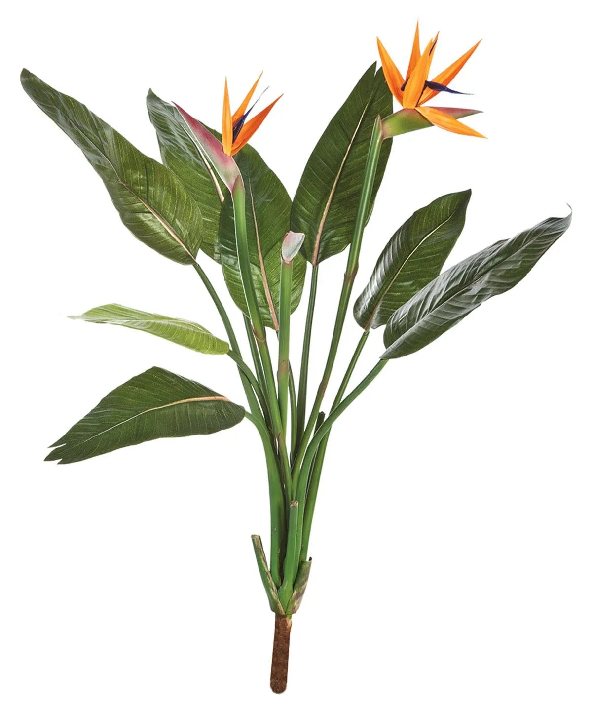 Künstliche Strelitzia - Kali' | 100 cm