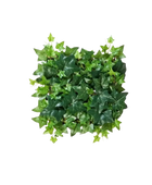 Kunstefeu Pflanzenwand aus Kunstpflanzen auf Transparentem hintergrund, 30x30 cm, farbe natur