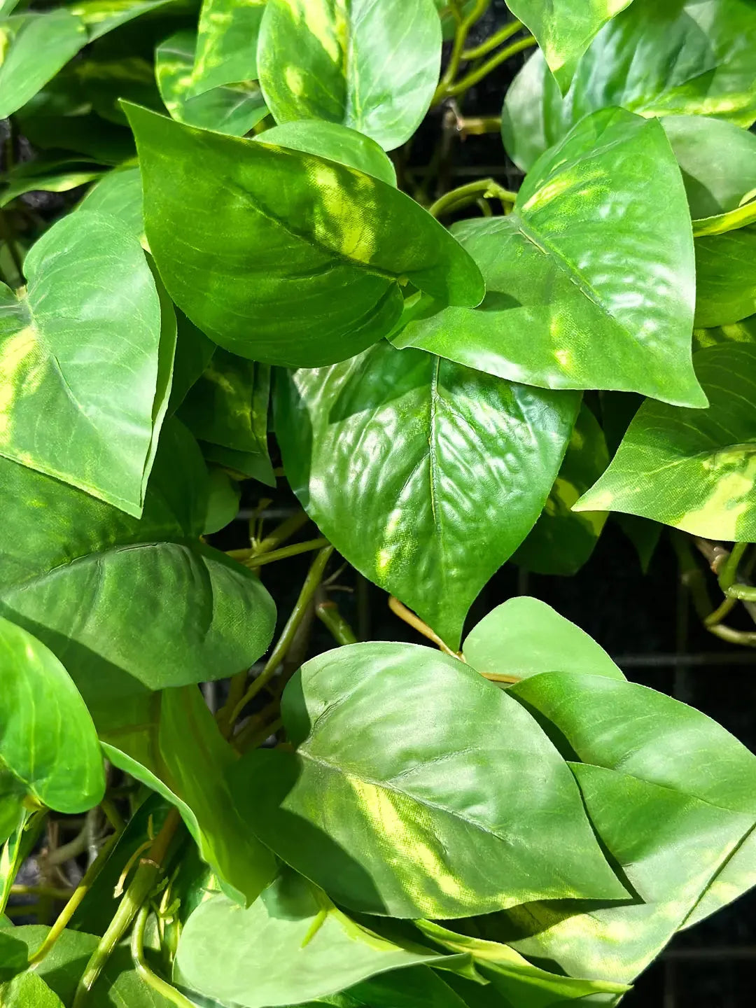 Künstlicher Hänge-Pothos - Bella | 85 cm