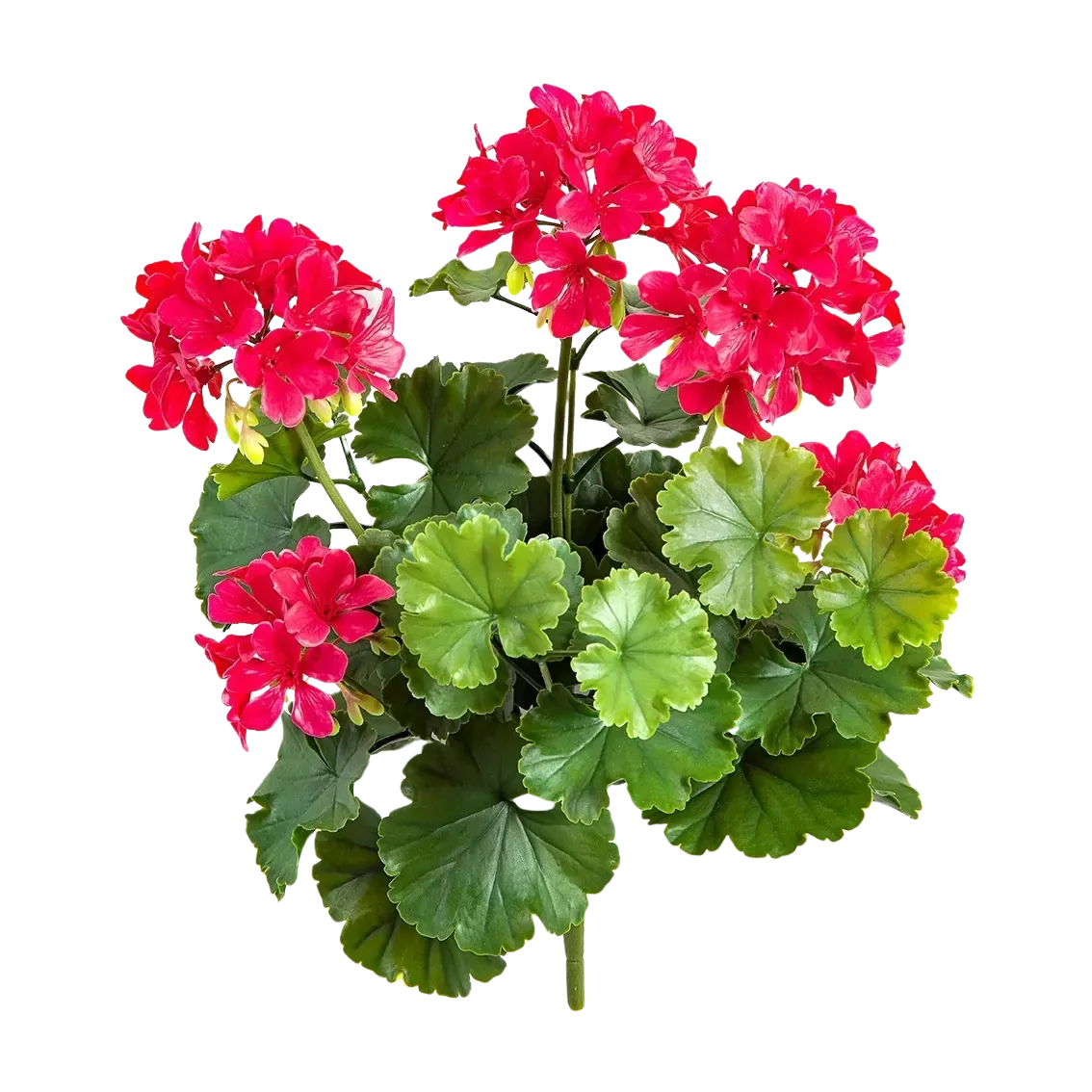 GreenBrokers Künstliche Geranien In Rustikaler Blechdose – 45 Cm, Rosa, UV-beständig & Pflegefrei