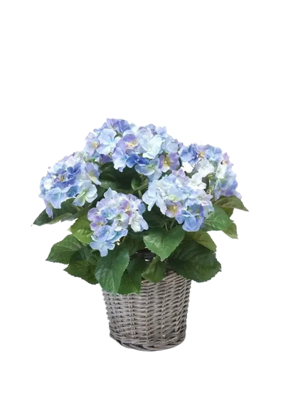 Künstliche Hortensie - Levi auf transparentem Hintergrund mit echt wirkenden Kunstblättern. Diese Kunstpflanze gehört zur Gattung/Familie der "Hortensien" bzw. "Kunst-Hortensien".