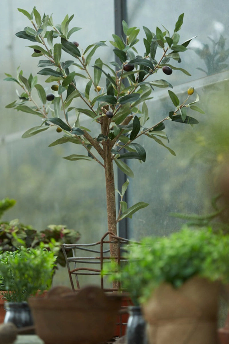 Künstlicher Olivenbaum - Carina | 65 cm